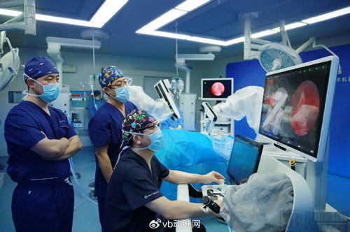 歌锐科技“牛顿”手术机器人完成全球首次动物活体实验，引领智能精准外科新纪元